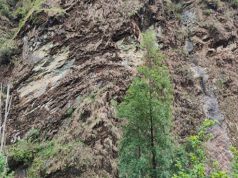 Pegu Khola Small Hydropower Project (PKSHP)